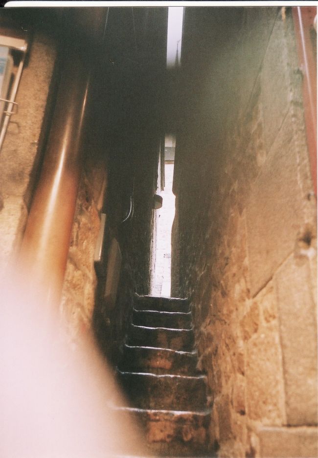 自分の指が入ってしまって残念写真。<br />あと一時間は買い物。グランリュの真ん中あたり、クレープ屋さんの前に幅およそ３０センチくらいの狭ーい隙間じゃなくて、通りがあります。気お付けないと通り過ぎてしまいます。時間があったらどこでも入りたい衝動に駆られますが、時間が足りない！モンサンミッシェルのあたりでは編み物や刺繍が伝統なのかとてもきれいなファブリック用品の店を発見！ここで大量にテーブルクロスやアクセサリー、モンサンミッシェル塩バターキャラメルを購入。商品を包んでいる間、待っているのも楽しく編み物を感心しながら見ていたら、その中からひとつ店員さんがおまけしてくれました。<br />また行きたい、このお店！店員さんみんな親切で価格もそんなに高くありません。良心的なお店でコミュニケーションがとれる店員さんたちでした。<br />ガイドさんによると、グランリュの通りはプーラールコンツェルンが牛耳ってるそうです。<br />クレープ屋さんおいしそうだったけど、スズメが店の中を飛び回っててクレープ作りの道具のまわりも歩きまわっていたので私は買いませんでした。<br />ところ変われば、スズメも・・・