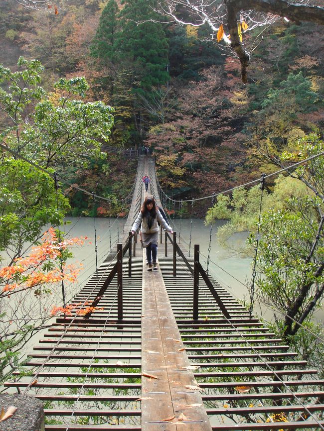「夢の吊橋」です。<br /><br />朝早かったけど、すでに一方通行でした。<br /><br />ここを渡ってしまうと、その後３０４段の石段を登らないと、<br />帰ってこられません・・・<br /><br />吊橋、狭いし揺れるし結構怖かった・・・