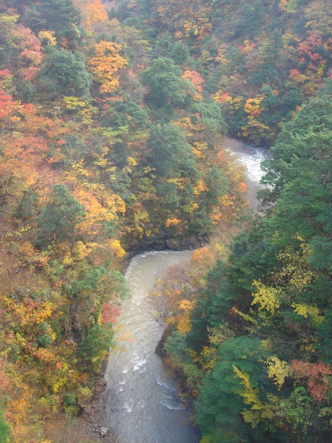 飛龍橋からの景色。