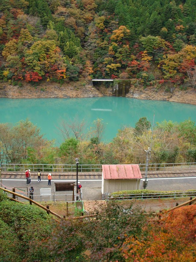 展望台からの眺め。