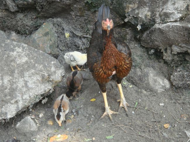 一休みした所で、地図を確認して、本来の目的地へ…って、もしかして喧嘩売られてますでしょうか？