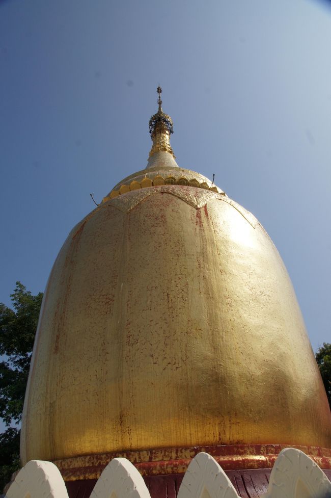 下から見上げると、ポッテリしていて、先ほどとはまた違った感じ。