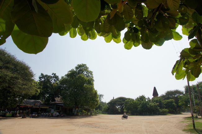 オールド・バガン、他ではあんまり商店とか見かけませんが、ブーパヤー・パヤーの前、大きな広場になってて、食堂や土産物屋も並んでます。本日の所は、用事無いけど。<br /><br />んじゃ、次行ってみましょ。<br /><br /><br />−−−−−−−−−−−−−−−−−−−−−−<br />今回の旅の日程は、<br />http://4travel.jp/traveler/hhb00102/album/10525702/