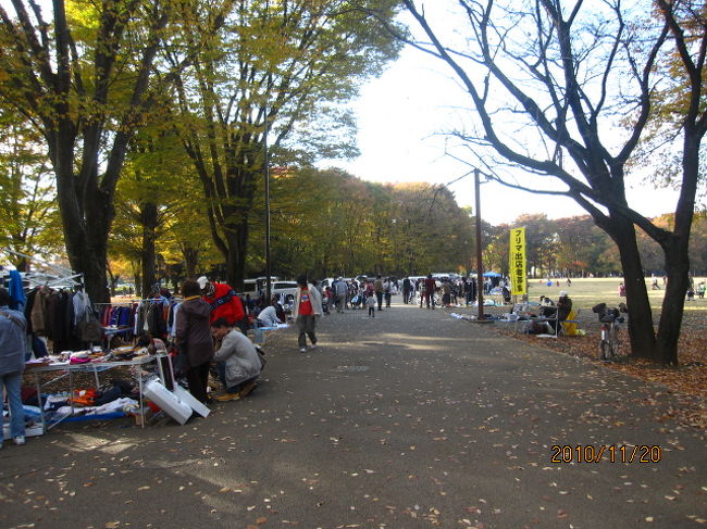 小金井公園のフリーマーケット 国分寺 小金井 東京 の旅行記 ブログ By ちゃおさん フォートラベル 小金井公園のフリーマーケット 国分寺 小金井 東京 の旅行記 ブログ By ちゃおさん フォートラベル