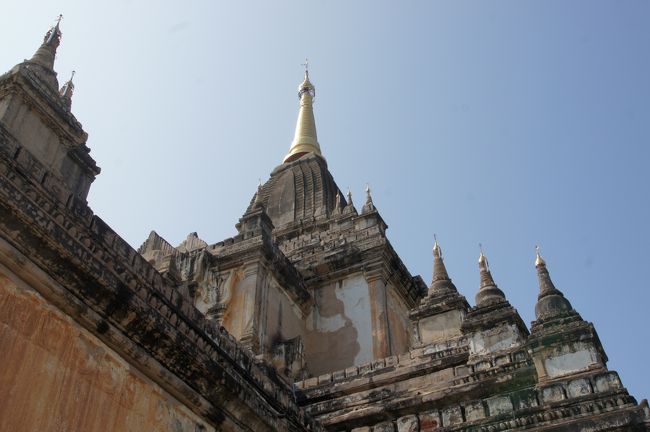 今度は、外をウロウロ