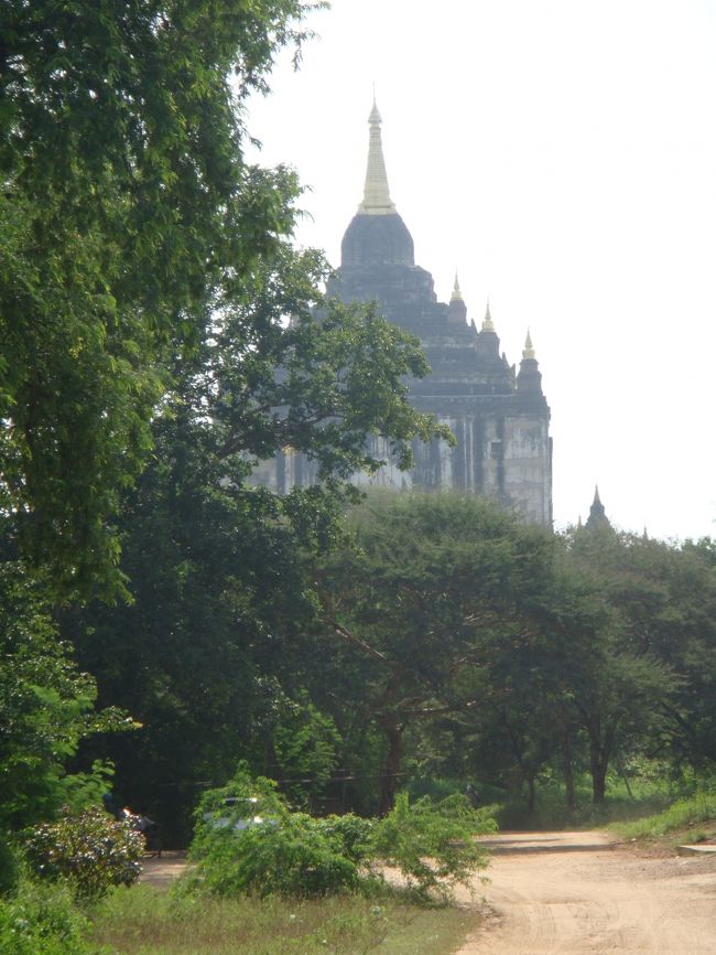 昨日今日と、近所をウロウロしている際にも目にしていた背の高い寺です。かなり遠くからでも目立ってるね。