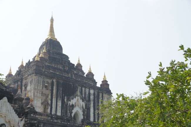 まぁ、もちろん入場して見学させていただきますが…