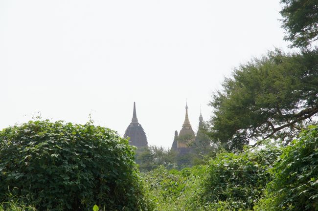 境内が、少し高台になっているんで、ここも見晴らしはえぇかな。