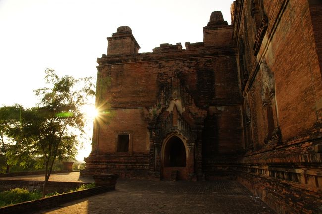 だいぶ日が低くなって来たなぁ。