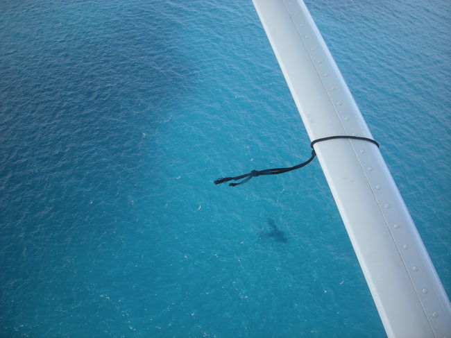 お、水面に飛行機の陰