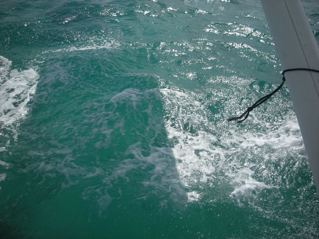 着陸ならぬ着水