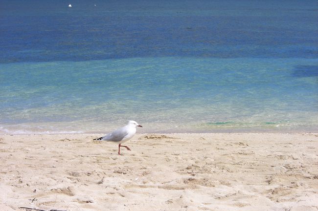 クルーズ船到着前なので、島は人がまばら<br />プライベートアイランド、って感じ