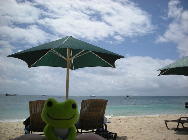 寝ちゃったみたい。し〜、起こさないでね