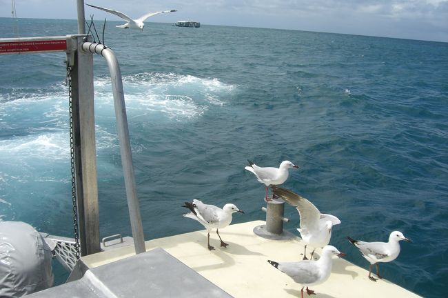 半潜水艦の船上<br /><br />いよいよ半潜水艦。乗る際、しつこいくらい「今日は揺れる、船酔いする人は乗らない方がいい」と言われる。<br />ＯＫ、ＯＫ、と乗ってビックリ。狭い。ポンゥウーンでは歩き回れるくらい広かったけど、こっちは前後びっちり人、まるでバナナボート。両脇は押し迫る壁。さらにすり鉢上の船体が笑っちゃうくらい揺れる。そう、揺れるって言ってたね・・・。<br /><br />これはやばい・・・閉所恐怖症（気味）な上、船酔いしそう、と思って振り返ると、案の定、乗り物酔いする母の顔色が尋常ではない。姉に母を連れて船上にあがってもらう。<br /><br />グラスボトムボートもセットにしてあったけど、両親、私はダウン。元気な姉に4人分楽しんでもうらう。