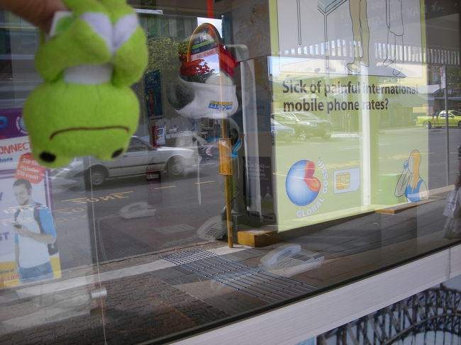 ツアー会社によく飾ってある「バンジージャンプをするコアラ」