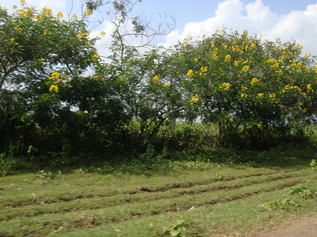 さて、途中の風景…