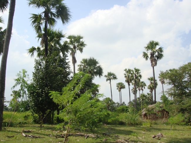 運ちゃん、来る時と違って、何だか上機嫌で音楽ガンガンにかけて運転中。