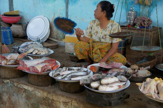 魚屋さん…蠅が多くて大変ね。