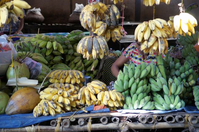 バナナ各種？揃っております。