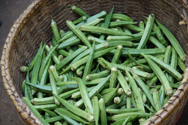 オクラがデカイね。