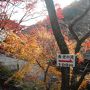 ２０１０・晩秋・養老公園紅葉散策と絶景露天IN遊季の里