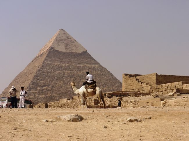 しかし、熱い。