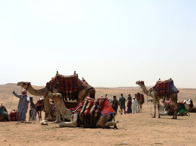 らくだにも一瞬乗りました。<br /><br />５ドル。