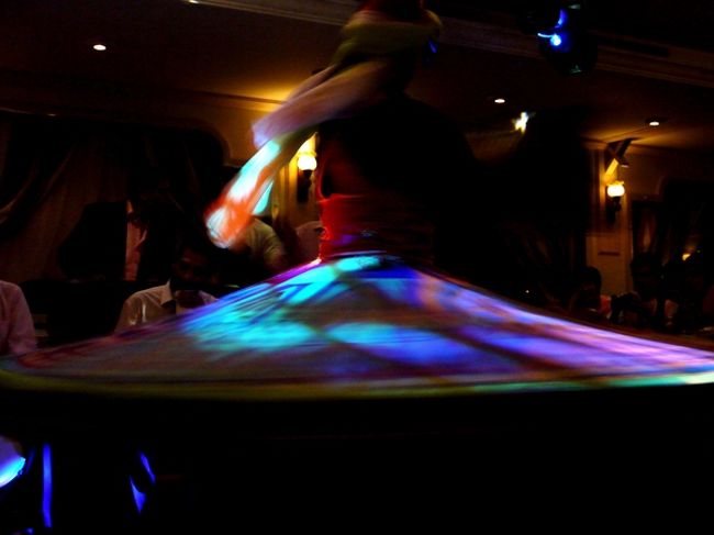 コマのようです。