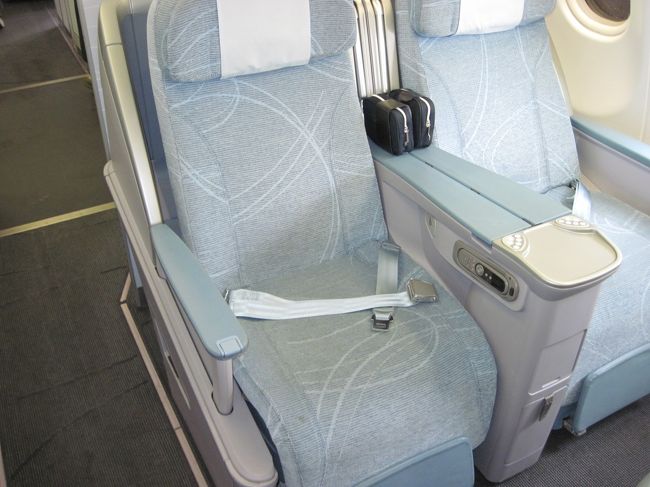 シートです。標準的なライフラットシート。