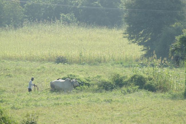 農作業中の方もいらっしゃいますね。