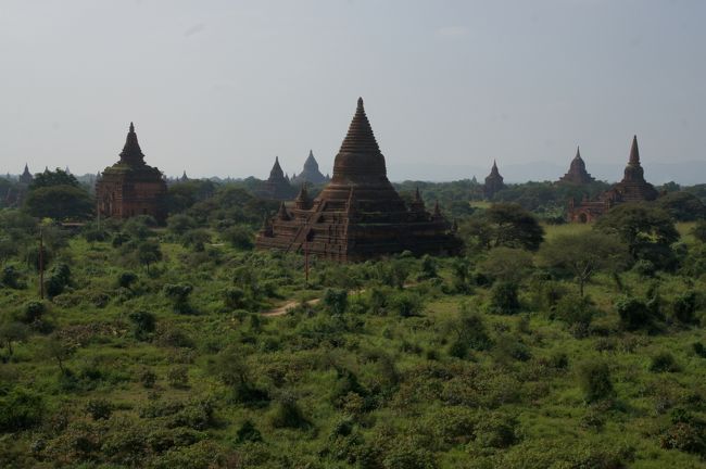 よく見ると、沢山並ぶ仏塔、それぞれ形が違ってる。