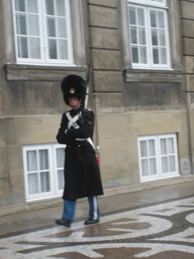 移動をして、アメリエンボー宮殿へ。<br />衛兵の交代指式を見ました。<br />冬だったのでクマの毛の帽子を被っています。<br />