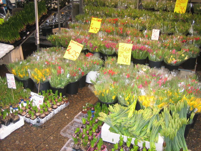 歩行者天国のストロイエ(Strøget)を散歩。<br />途中にあったお花屋さん。<br /><br />