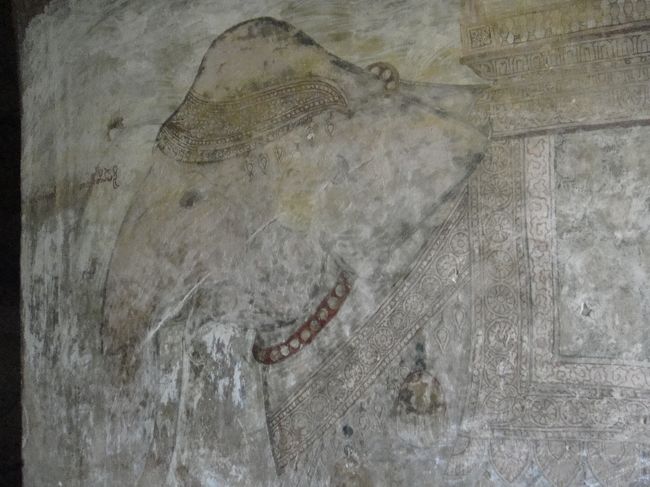 こちらの象さんは、ちと赤が残ってる。