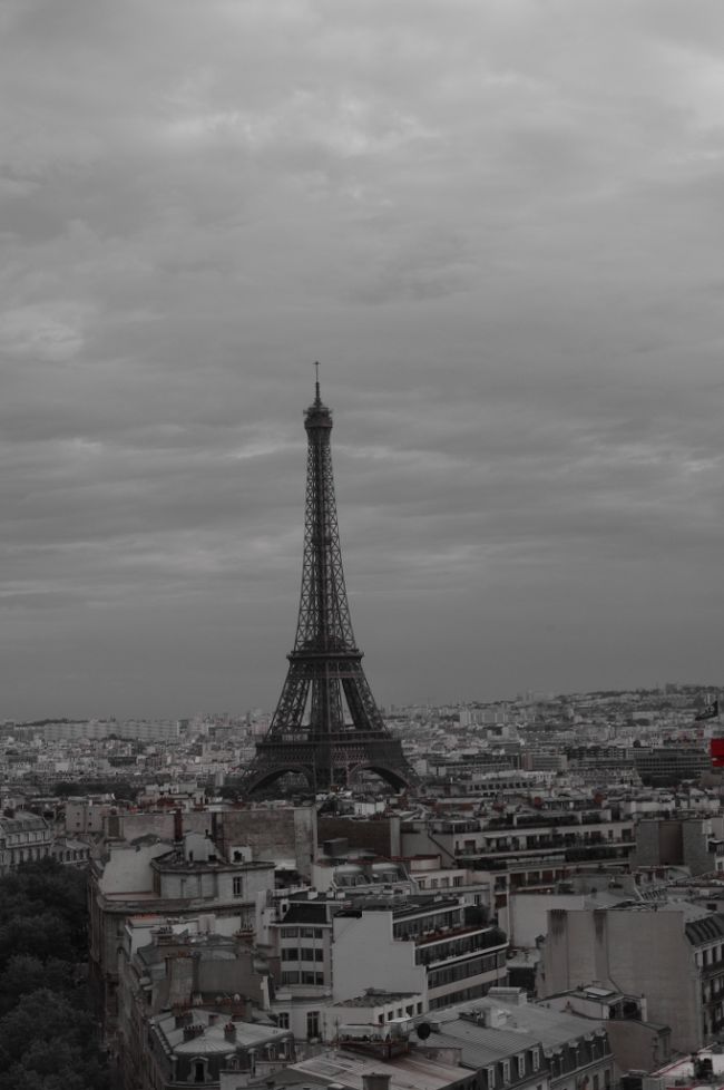 今回初めてモノクロで撮ったけど、<br />結構いいかも。