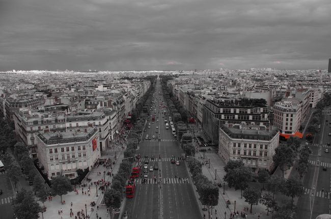 赤抽出のモノクロで撮ってみました。