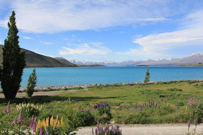 テカポ湖