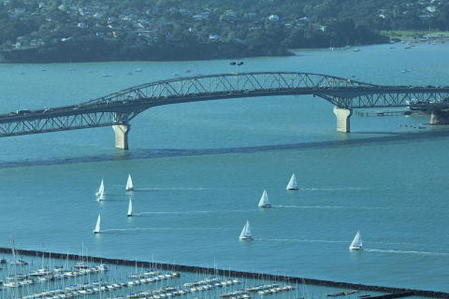 スカイ・タワー展望台からのハーバーブリッジ