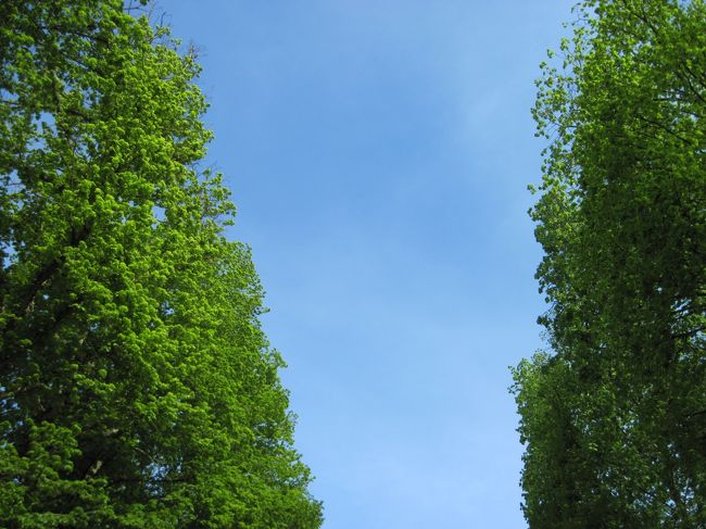 ブルースカイ！