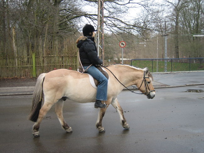 こんな感じです。<br /><br />