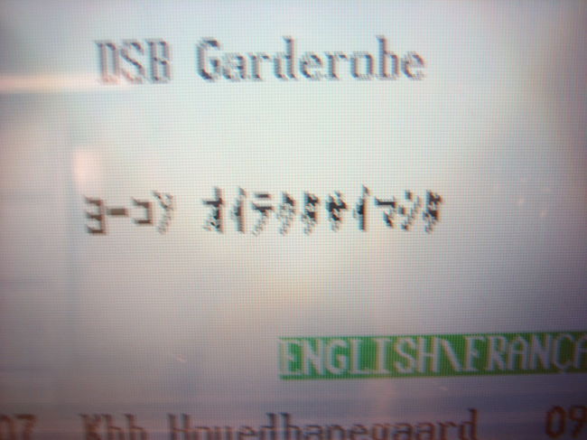 コペンの駅で荷物をコインロッカーに預ける。<br />なんと！日本語表示があるんです。<br /><br />でも、余計わからない。。