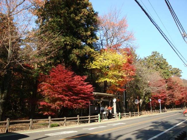 池袋から急行で20分、志木駅南口からバスに乗り「平林寺」へ。<br /><br />今回は一つ手前の「陣屋」で下車。<br />道路沿いに平林寺の境内林が続いています。