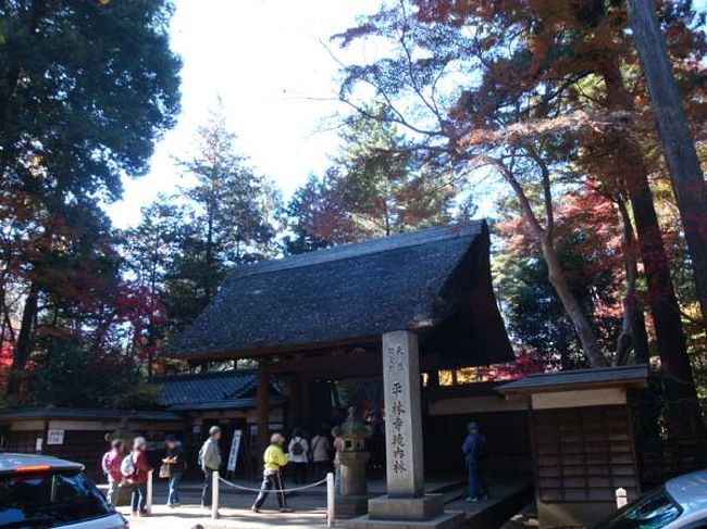 「平林寺」総門。<br /><br />拝観受付（拝観料は500円）の前は待ち合わせの人も多く大混雑。