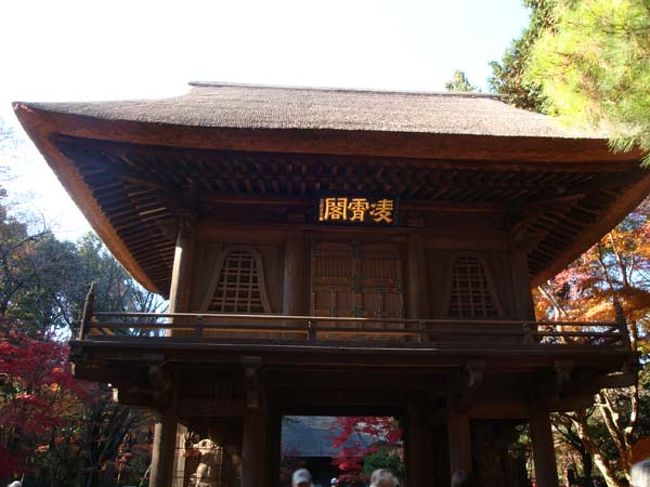 「平林寺・山門」<br /><br />午後1時半、ジョーさんの案内で境内に。<br />茅葺き屋根の山門は、1663年に平林寺が移転する前の岩槻から移築。<br />「凌霄閣」の扁額は、京都詩仙堂石川丈山の揮毫。<br />