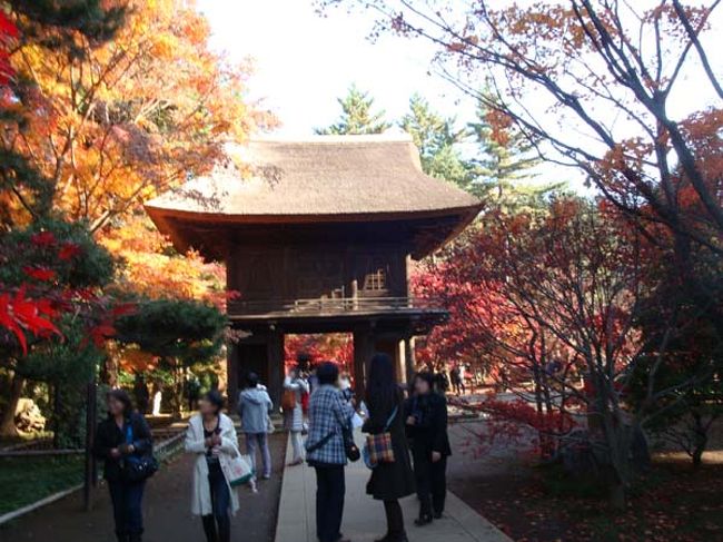 「山門」前は帰り口に向かう方も多く、かなりの賑わいでした。<br /><br />「山門」をくぐってからふり返ってみるとこんな感じです。<br />