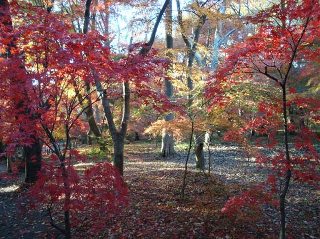 午後の柔らかい日差しを浴びて・・・