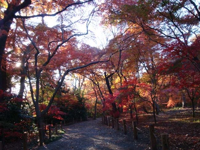 薄暗いところもあります。