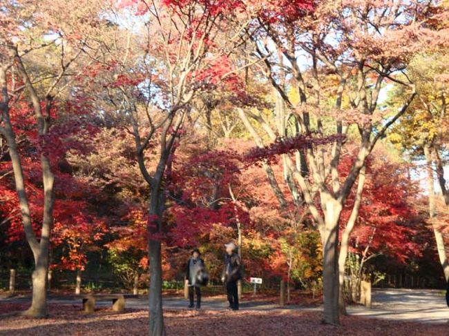 このおふたりは何を語りあっているのでしょうか。