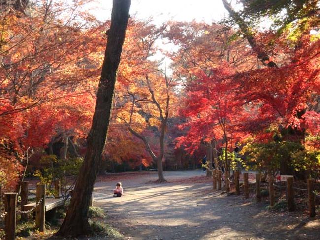 道路に座り込んだ子どもは、何して遊ぶ？