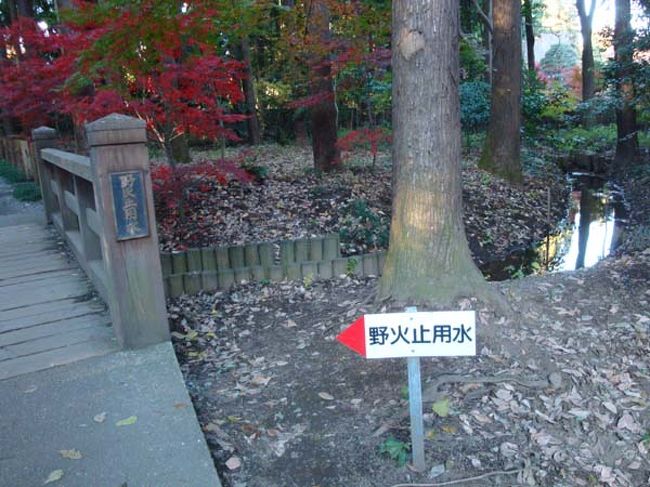 「野火止用水」<br /><br />玉川上水最古かつ最大の分水。<br />江戸にとって大切な玉川上水の水が一大名である<br />川越藩領に引かれたことからも川越藩の力がわかる。